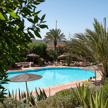 Blick auf den Poolbereich hinter Pflanzen des Boutique-Hotels Dar Maktoub
