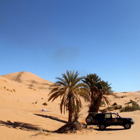 Blick auf zwei Gelaendewagen unter Palmen in der Sahara bei Merzouga