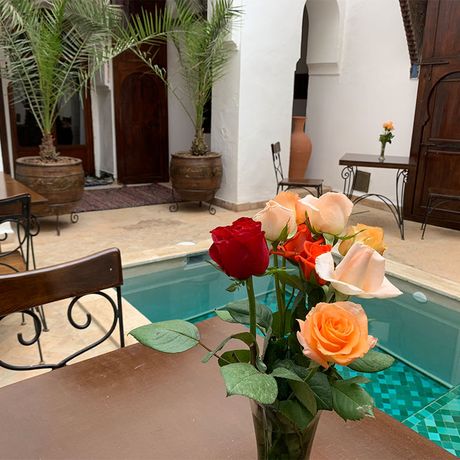 Blick auf Blumen auf einem Tisch am Poolbereich des Riad Nora