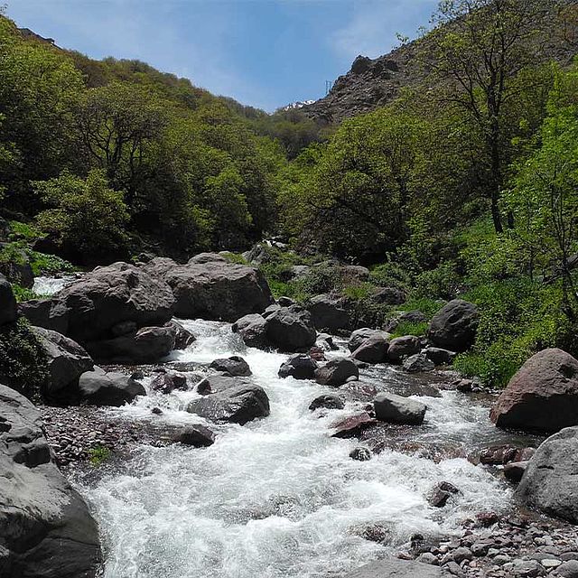 Fluss Baeume Steine Marokko