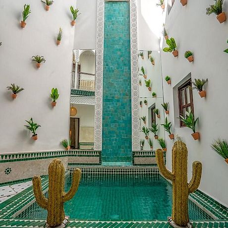 Riad Art & Emotion Galerie Tauchbecken mit Kaktusdekoration