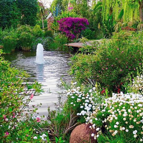Blick auf bunte Pflanzen an einem Teich im Springbrunnen im Andre Heller Garten