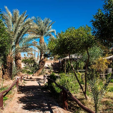 Blick auf einen Gehweg zwischen Baeumen im Garten des Bungalows und Apartments Bab Rimal