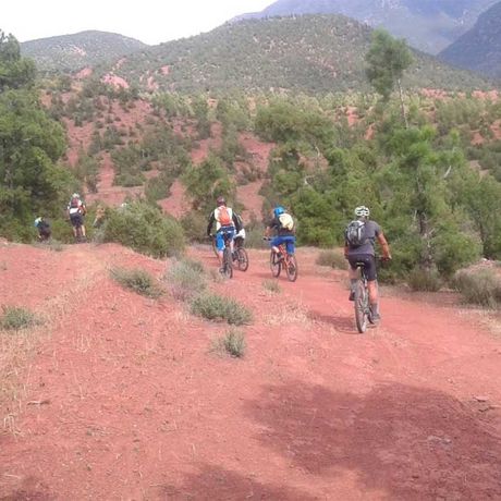Blick auf Mountainbiker auf einem Weg mit Blick auf Berge im Ourika-Tal