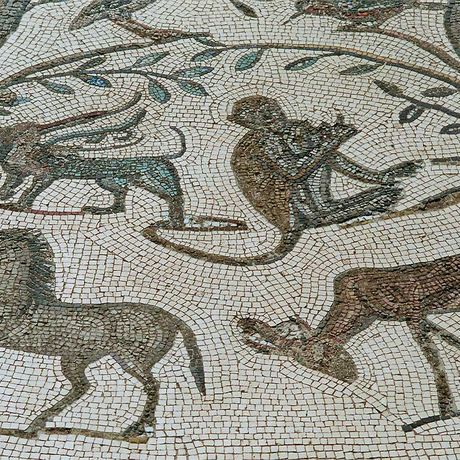 Blick auf ein Mosaik mit Tiermotiven in Volubilis