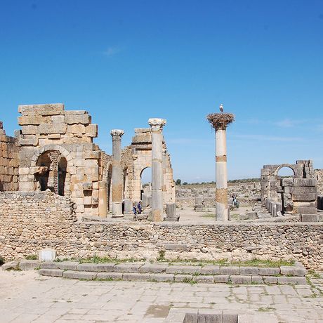 Blick auf die Ruinen von Volubilis mit Besuchern