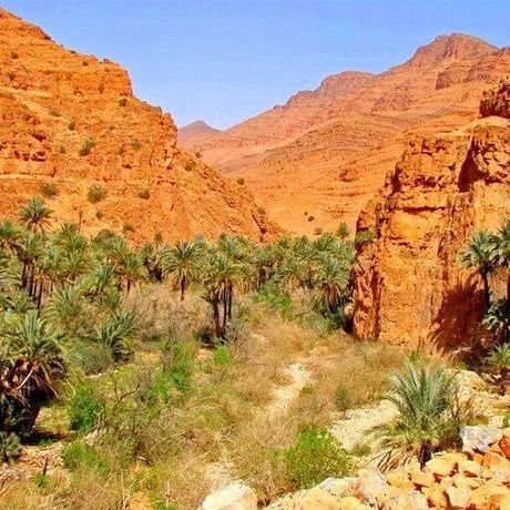 Blick auf Palmen und Felsen im Tal Ait Mansour