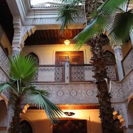 Blick auf zwei Palmen im Innenhof des Riad Dar Al Kounouz
