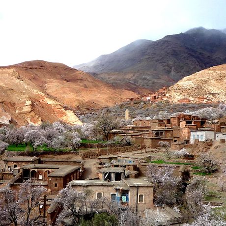 Blick auf ein Berberdorf im Tal der Mandeln