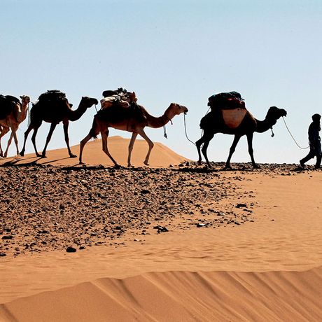 Blick auf zwei Personen mit vier Kamelen in den Duenen von M´Hamid