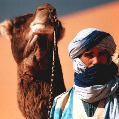 Blick auf einen Wuestenfuehrer mit einem Kamel
