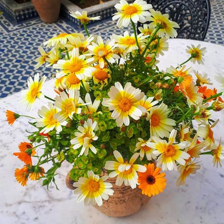 Blick auf Blumen auf einem Tisch im Riad Lune et Soleil