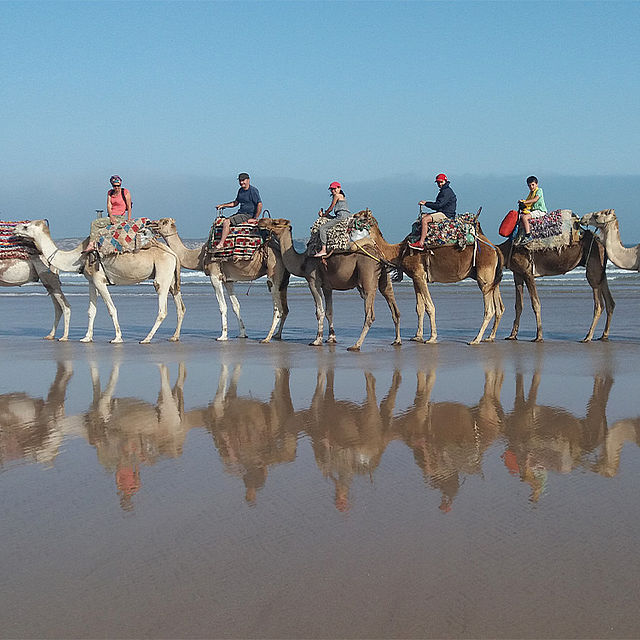 Kamelausflug Strand Essaouira