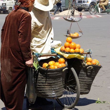 Blick auf einen Orangenverkaeufer in Marrakesch