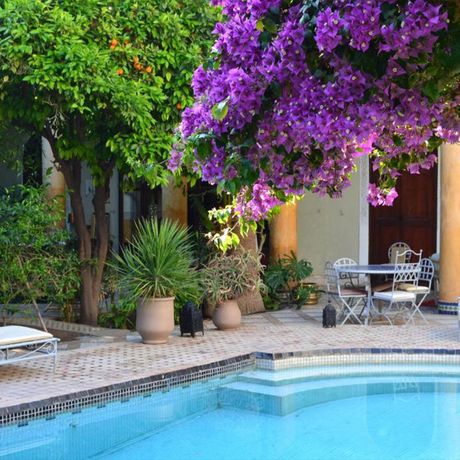 Riad El Arsat Pool Baum Blick auf einen Pool