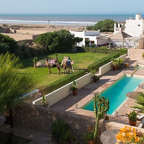 Rebali Riads Galerie Blick von der Unterkunft aufs Meer, Kamele im Garten