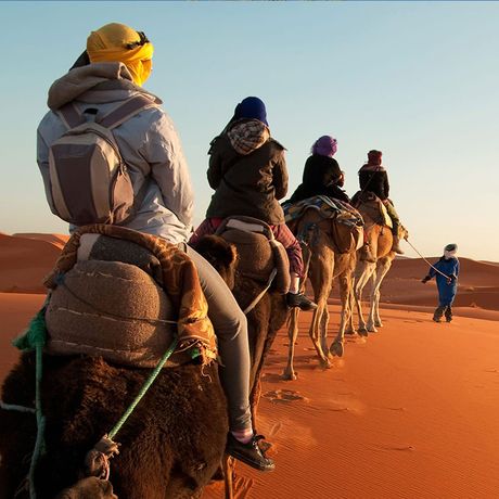 Blick auf fuenf Personen bei einem Kamelritt durch die Sahara