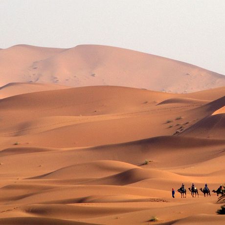 Blick auf fuenf Personen bei einem Kamelritt durch die Duenen der Wueste in Marokko