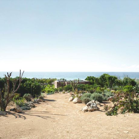 Blick auf dem Weg zum Strand zwischen Pflanzen des Hotels Azalai Beach Cottage
