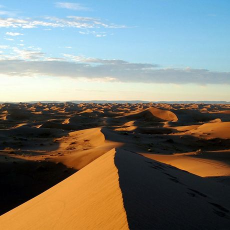 Blick ueber die Duenen der marokkanischen Sahara