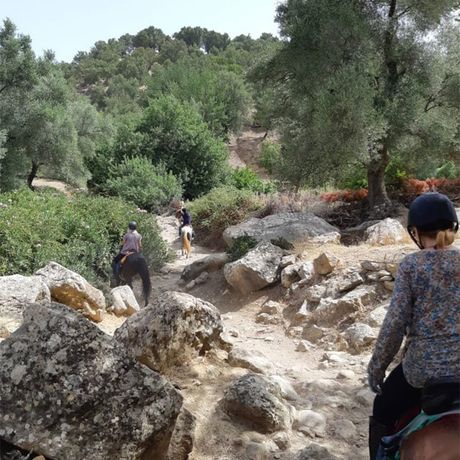 Blick auf eine Reitgruppe zwischen Sand, Steinen und Baeumen in Marokko