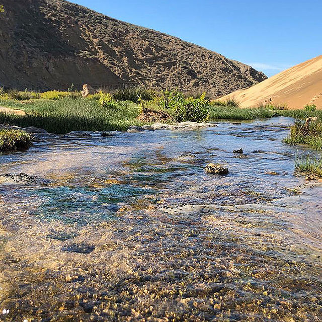 Fluss Duenen Atlantikkueste Marokko