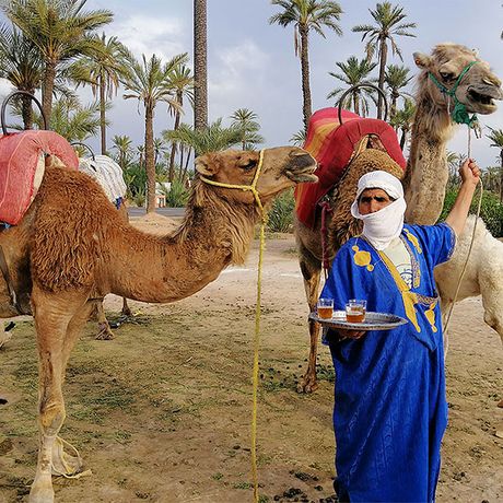 Blick auf eine Person im blauen Gewand vor Kamelen mit frischem Tee auf einem Tablett