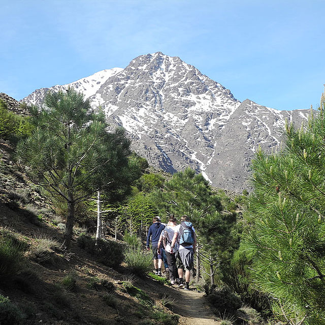 Wandergruppe Pfad Baeume Marokko