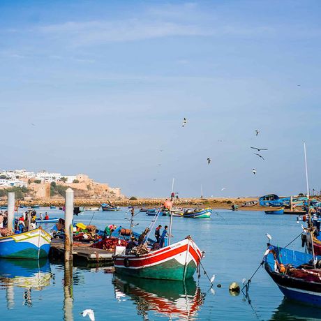 Blick auf kleine Boote im Hafen von Rabat