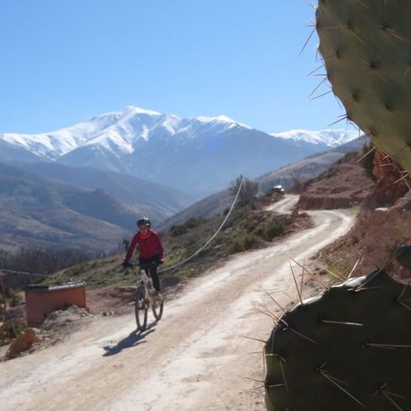 Blick auf eine Mountainbikerin auf einem Weg vor schneebedeckten Bergen im Hohen Atlas