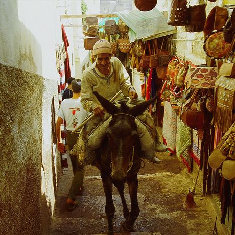 Perosn reitet auf einem Esel durch eine Gasse in Fes