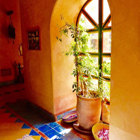 Blick auf Pflanzen vor einem Fenster im Innenbereich der Kasbah la Perle du Dadès
