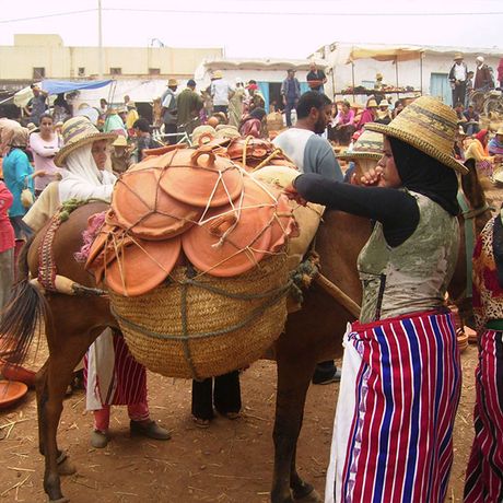 Blick auf ein Maultier mit angebundenen Tontoepfen auf einem Berbermarkt