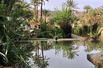 Hotel Bab el Oued Deluxezelt Oasien Camp