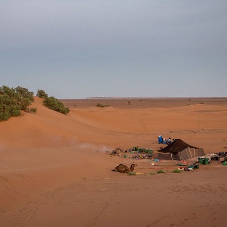 Blick auf ein Zeltlager vor einer Düne in der Wüste Marokkos.