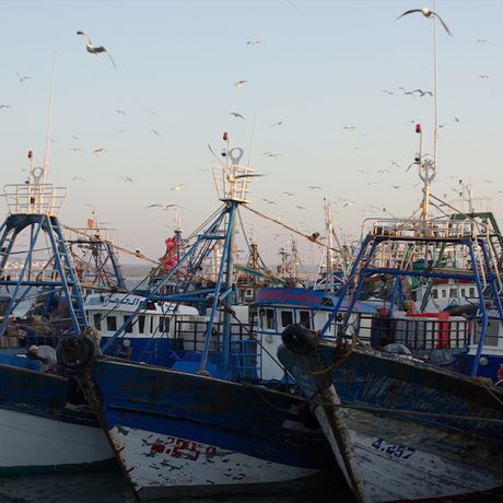 Blick auf Boote im Hafen von Essaouira