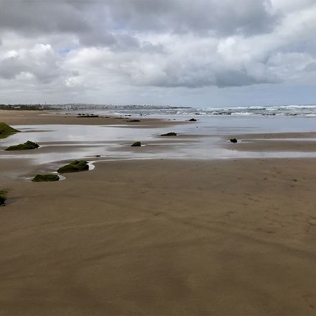 Blick auf moosbedeckte Steine am Strand von Asilah