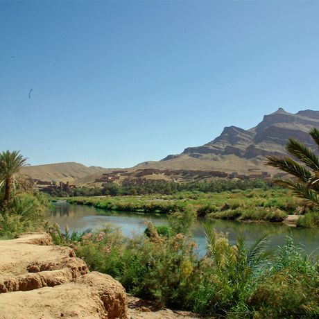 Blick auf ein Dorf zwischen Palmen und Bergen an einem Fluss im Draa-Tal