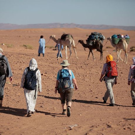Blick auf Personen und Kamele beim Wuestentrekking im Erg Chegaga