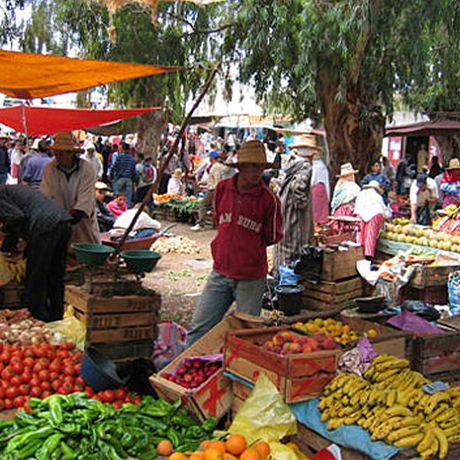 Blick auf frisches Obst und Gemuese auf einem Berbermarkt im Rifgebirge