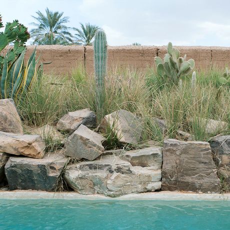 Blick auf Kakteen am Pool der Azalai Desert Lodge