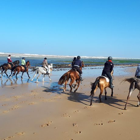 Reitgruppe am Strand in Marokko