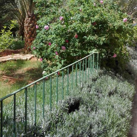 Blick auf Pflanzen im Garten der Auberge Tinit
