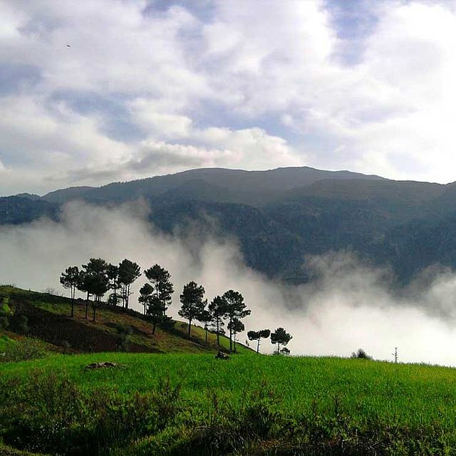 Rifgebirge Nebel Berge
