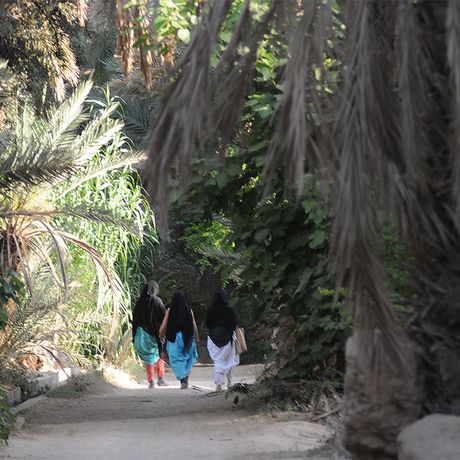 Blick auf drei Personen auf einem Wanderweg in der Palmeraie von Tata