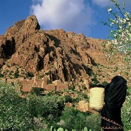 Person zwischen Straeuchern vor einem Berg in Marokko